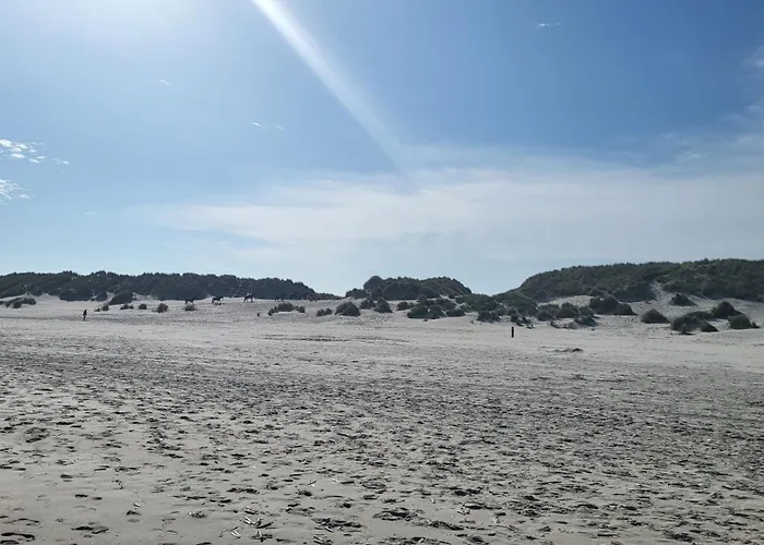 Duinzicht, Amelander Paradijs, Zonnig 6 Persoons Appartement Met Groot Terras Op De Begane Grond, Vrij Uitzicht, Upgrade 2024