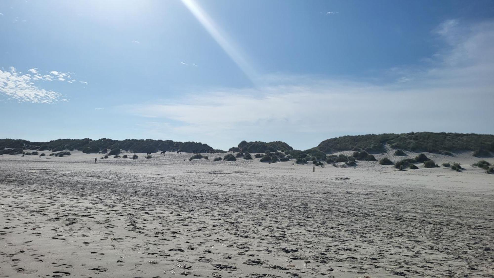Apartment Duinzicht, Amelander Paradijs, Zonnig 6 Persoons Met Groot Terras Op De Begane Grond, Vrij Uitzicht, Upgrade 2024 *