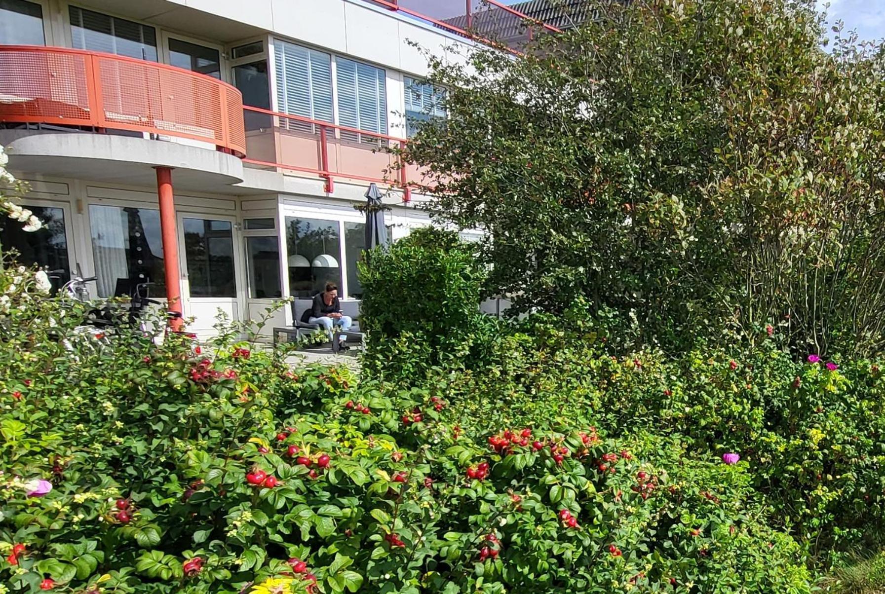 Duinzicht, Amelander Paradijs, Zonnig 6 Persoons Met Groot Terras Op De Begane Grond, Vrij Uitzicht, Upgrade 2024 Apartment *