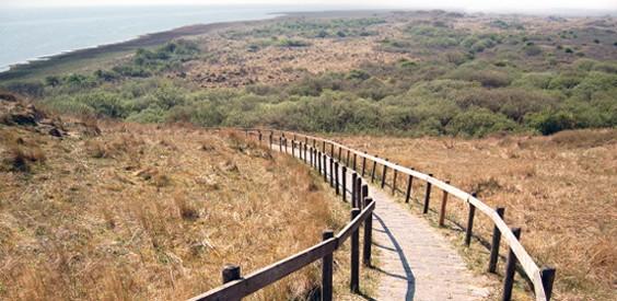 Duinzicht, Amelander Paradijs, Zonnig 6 Persoons Met Groot Terras Op De Begane Grond, Vrij Uitzicht, Upgrade 2024