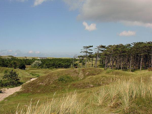 Duinzicht, Amelander Paradijs, Zonnig 6 Persoons Met Groot Terras Op De Begane Grond, Vrij Uitzicht, Upgrade 2024 * Buren (Friesland)